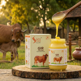 Satvaguna Gir Cow Ghee