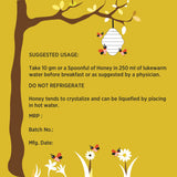 Satvaguna Ginger Honey 250 Grams